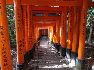 Long haul journeys KYOTO